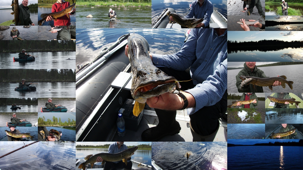 2012-07 Lapland: vliegvissen op Snoek, Forel, Vlagzalm en met de Bellyboat